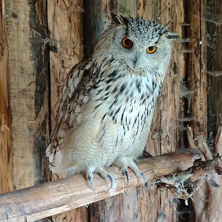 Kemping Farma Na Lazoch *