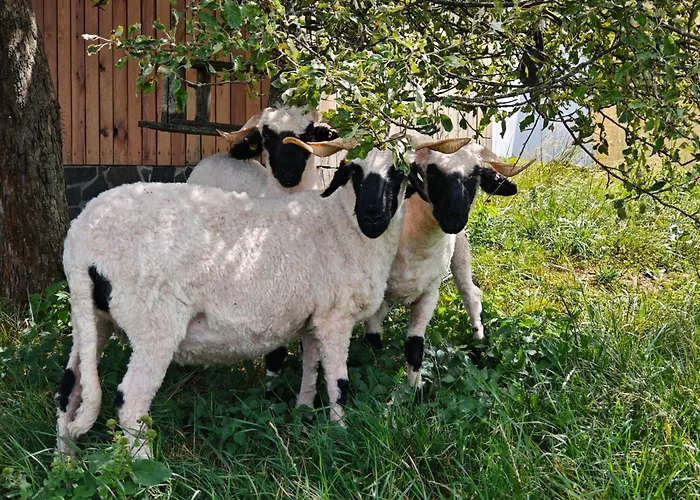 Κάμπινγκ Farma Na Lazoch *