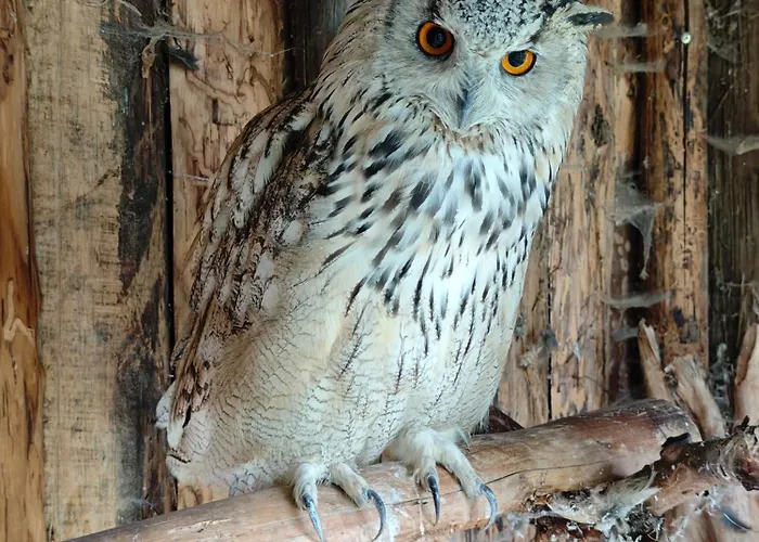 Κάμπινγκ Farma Na Lazoch *