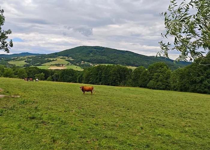 Κάμπινγκ Farma Na Lazoch *